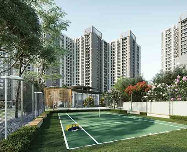 Sports Court and Tower View